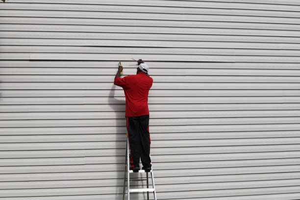 Best Insulated Siding Installation  in Little River Academy, TX